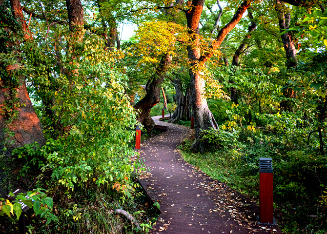 남해 물건리 방조어부림과 물미해안