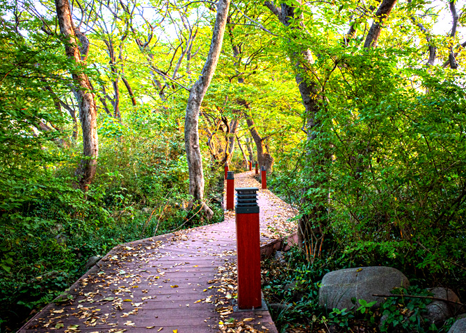 남해 물건리 방조어부림과 물미해안